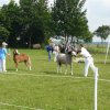 2008_06_15_ponyfestival